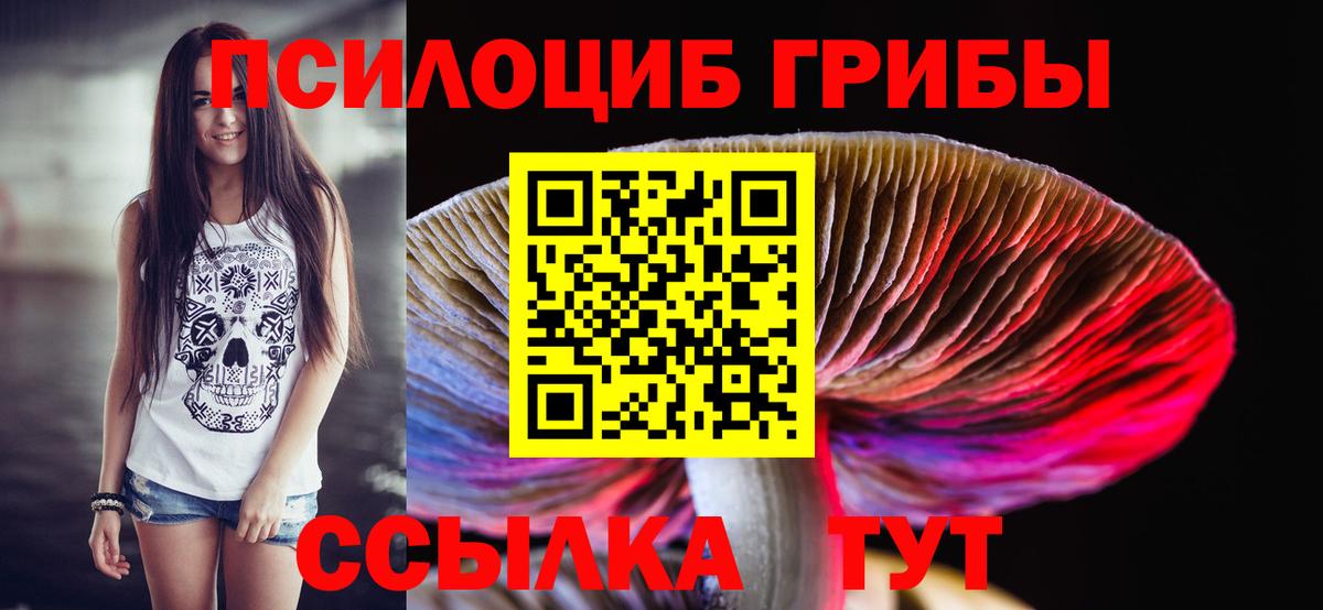 Псилоцибиновые грибы MAGIC MUSHROOMS Балтийск